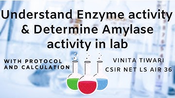 Enzyme activity | Alpha amylase activity determination in lab