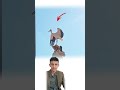 حتى الطيور تعرف القلوب الطيبة فتحط علا رأسه حيث لا ي خشى الصيد بل ي رتجى الح ب Explore Shorts حتى الطيور تعرف القلوب الطيبة فتحط علا رأسه حيث لا ي خشى الصيد بل ي رتجى الح ب Explore Shorts