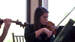 Cant Help Falling In Love Gemini Strings Dallas