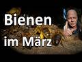 Bienen im März - Imker-Konferenz in Stavanger - SICAMM Braune Dunkle Biene - Save Native Honey Bees