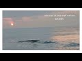 sun rise at beach #chennaibearch #sunrise #beach
