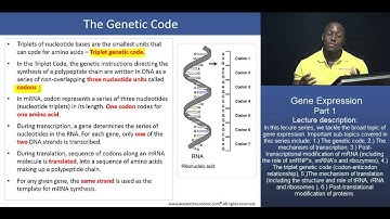 MCAT®: The Expression of Genes - Part 1 - The triplet genetic code