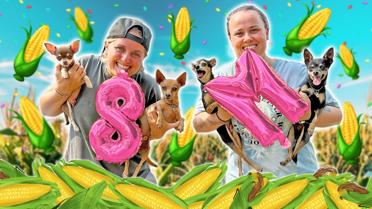 COMEMORANDO 8 MILHÕES DE INSCRITOS NO CANAL + TOP VÍDEOS MAIS BOMBADOS  DO CANAL