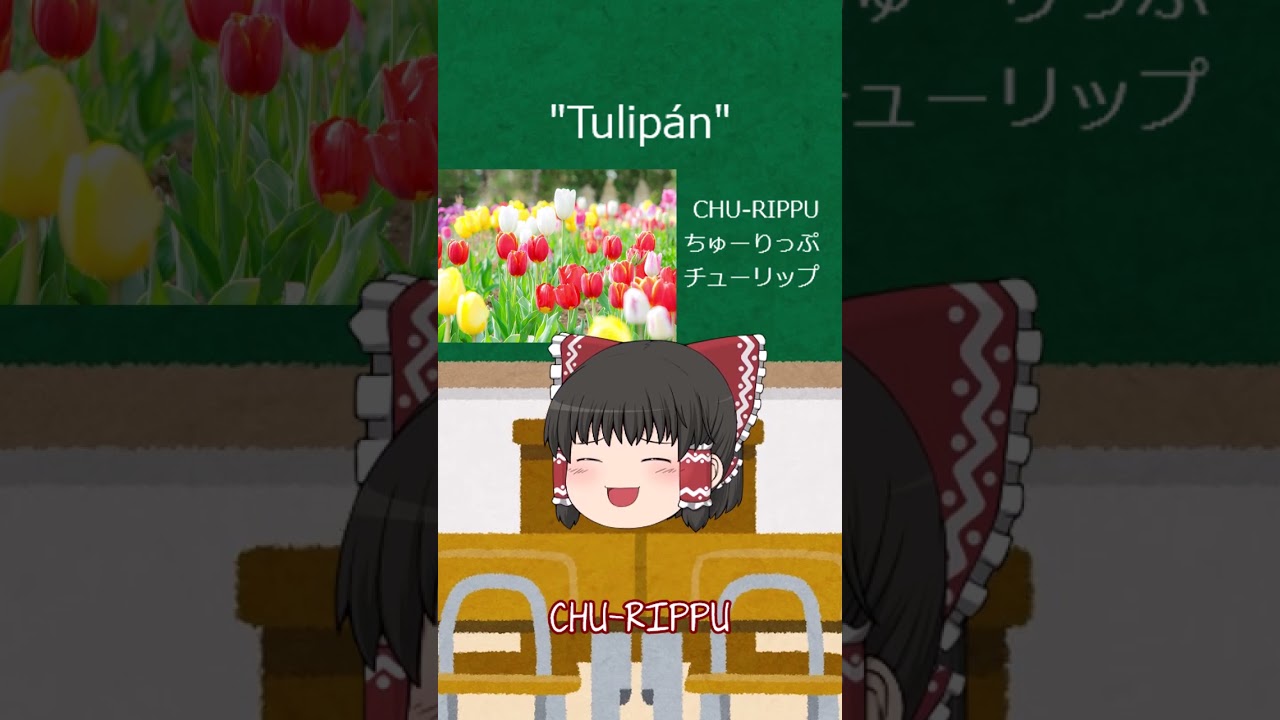 Tulipán en japonés CHU-RIPPU ちゅーりっぷ (チューリップ) - YouTube