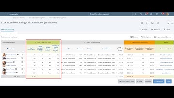 How to build assignment data checks at the summary level of Variable Pay with the aggregate function