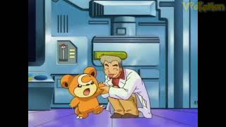 Teddiursa attacks Professor Oak | Professor Oak Funny Moments