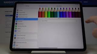 How to Enable Black&White Display in APPLE iPad Pro 11 (2020) - Monochromacy Screen screenshot 4