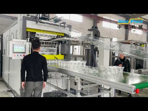 Sinoplast | PET Glass Thermoforming Machine with Robot Stacking machine