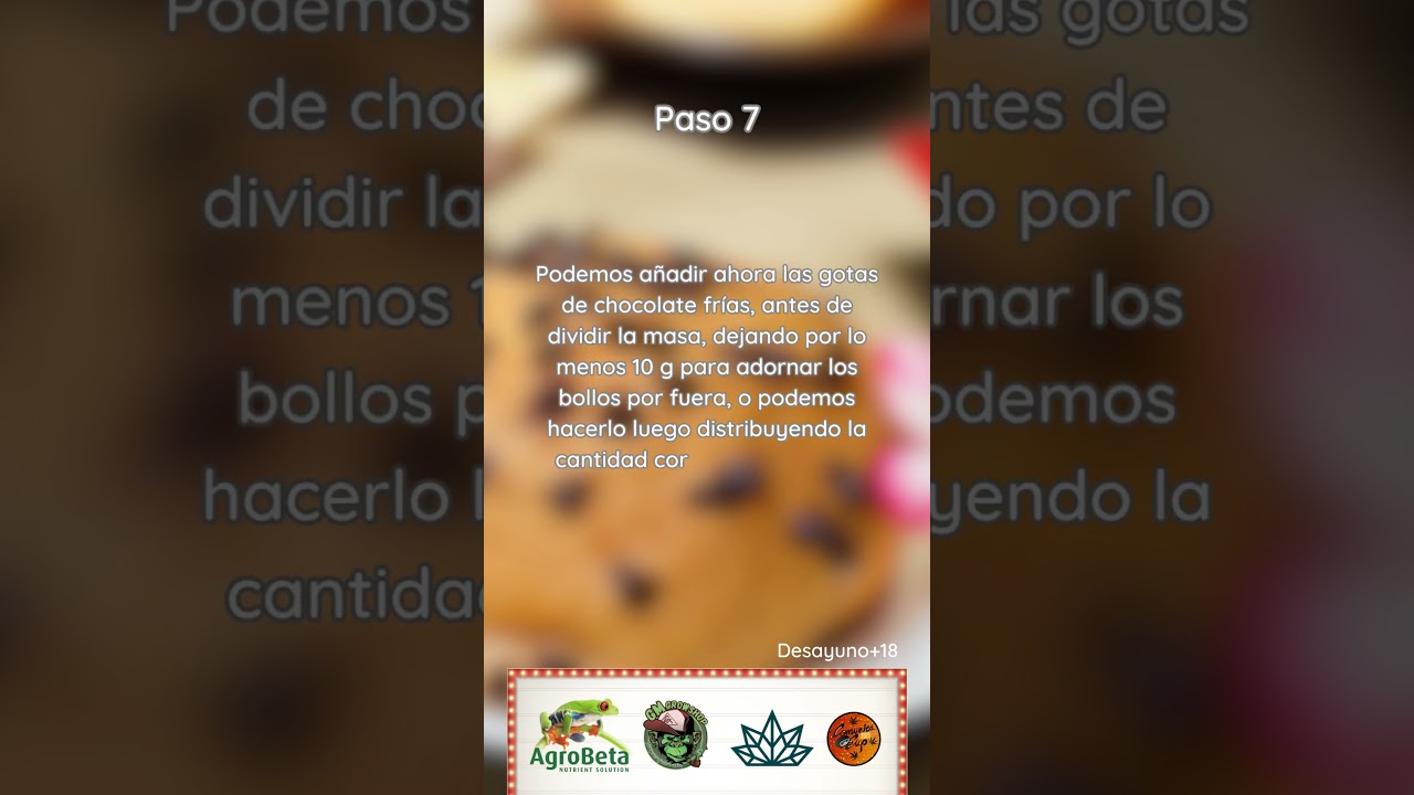 BOLLO CON PEPITAS DE CHOCOLATE Y MANTEQUILLA CANNÁBICA🍪💚