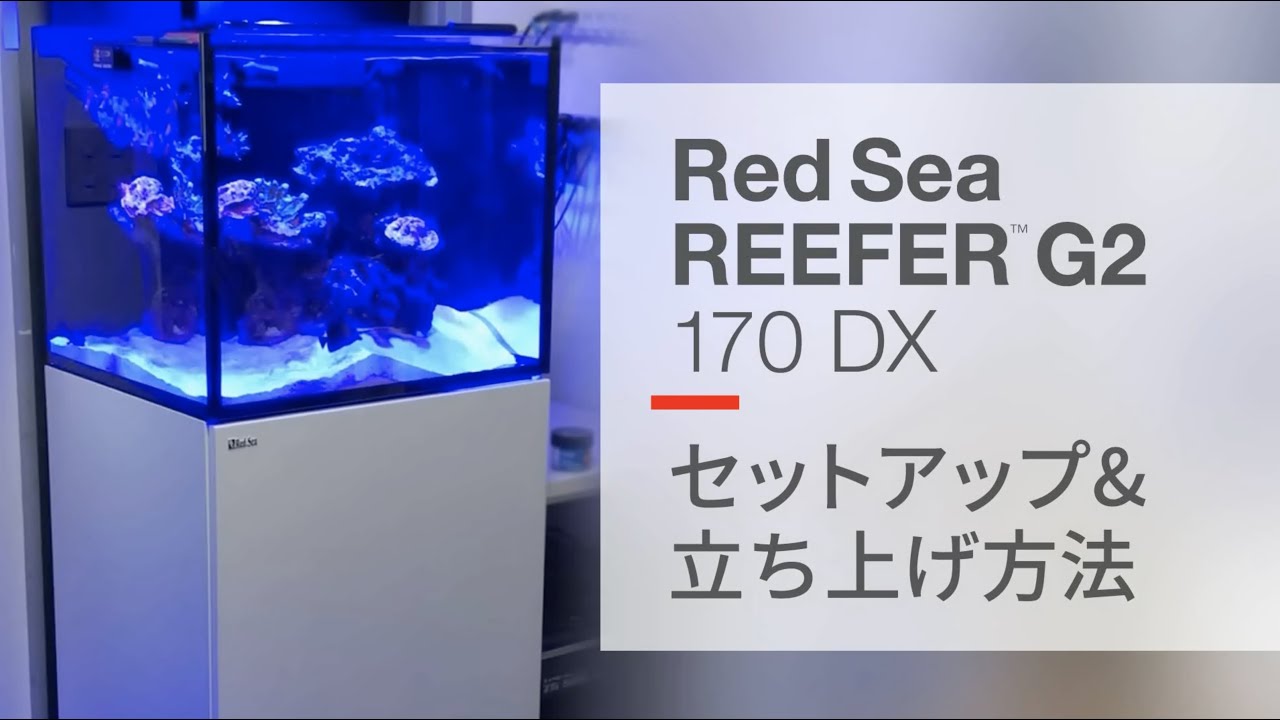 水槽レッドシーリーファーXL200 レッドシー (redsea) 値下げしました