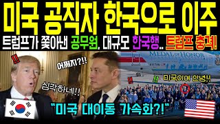 [해외감동사연]트럼프가 해고한 공무원들, 한국으로 집단 이동… 트럼프 충격!