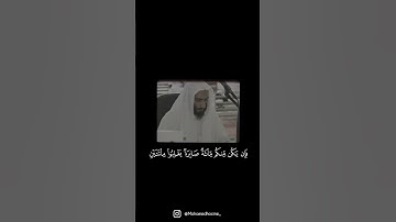 تلاوة نادرة للشيخ أحمد بن طالب قبل إمامته للمسجد النبوي.