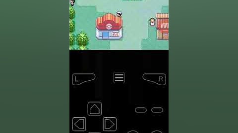 CHEATS OF POKEMON RUBY VERSION ``100