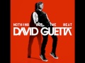David Guetta - I Just Wanna Fuck (feat. Timbaland & Dev)