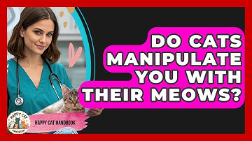 Do Cats Manipulate You With Their Meows? - Happy Cat Handbook