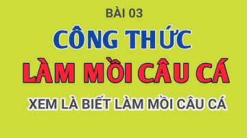 Cách làm mồi câu cá từ A đến Z  Nên xem  l CẦN THỦ ĐẤT CẢNG