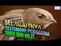 Testimoni Penggunaan Suara Walet Dian Walet Mp3 - Mp4 Download