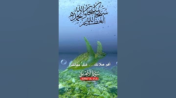 تلاوة خاشعة عطرة مباركة جميلة عذبة للشيخ ماهر المعيقلي ماتيسر من سورة الأعلى