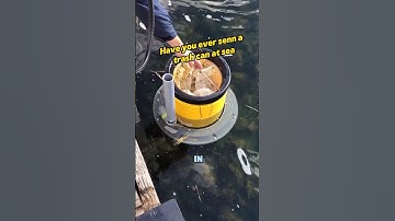 Have you ever seen a trash can at sea #knowledge #facts #mechanical #popular #science #world
