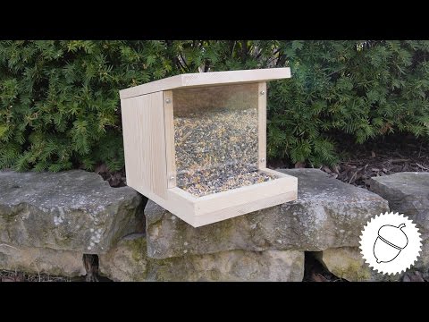 How to Make a Bird Feeder | Great Spring Project!