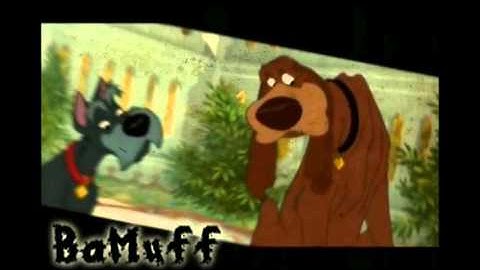 WYWDS - Second Chance MEP