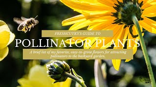 BEST POLLINATOR PLANTS: Easy to Grow Flowers for Attracting Pollinators to the Garden
