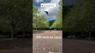 4 Gün Uğraştım Ben Full Hd