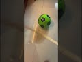 BLADE BALL Irl :belike: @Blade-Ball #funny #viral #memes #hahaha #roblox #football #bladeball