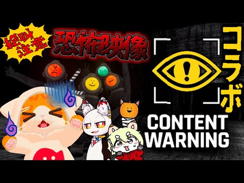 【📹Content Warning😮】オバケを撮って稼げ！💰💰💰【🐾子猫VTuber😼】