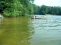 Water WD title training - Newfoundland Dog Water WD title training - Newfoundland Dog