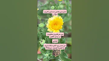 اینو همه ما در هر دوره ای تجربه کردیم 