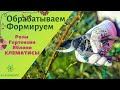 🌤  Весенняя  ОБРЕЗКА и ОБРАБОТКА l 🌸Розы🌹Гортензии🌺Яблони🍏Формирование молодых и взрослых ЯБЛОНЬ!