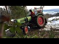 Holz rücken und ablängen mit Fendt Farmer 2E und Seilwinde