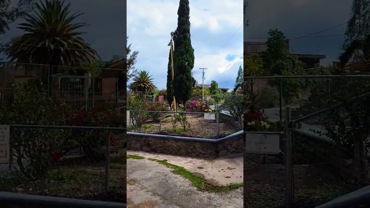 El ojo de agua de 📍Pamaceo Guanajuato #ojodeagua #jardines #miranchito