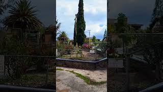 El ojo de agua de 📍Pamaceo Guanajuato #ojodeagua #jardines #miranchito