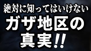 【徹底解説】絶対に知ってはいけないガザ地区の真実！ハマスを生み出してしまった“闇”の歴史とは･･･愛国見習い女子リジイがイスラエル・ハマス戦争のリアルを緊急解説【Lizzy channel切り抜き】