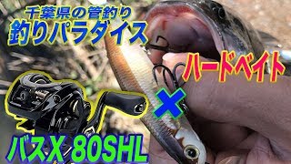 「バスX 80SHL × ハードベイト」実釣！！#千葉県#釣りパラダイス#菅釣り