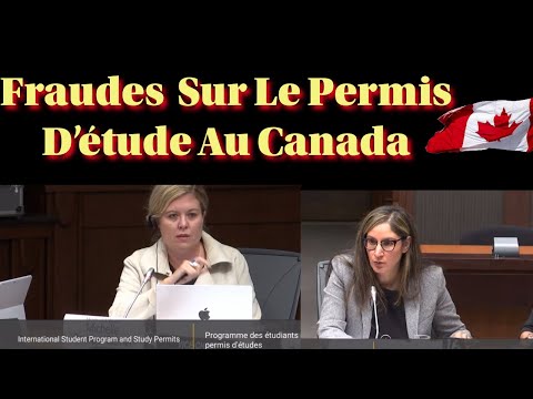 L INDE Identifier Par IRCC Comme Le Pays Ayant Commis Plus De FRAUDE Au Permis D étude L INDE Identifier Par IRCC Comme Le Pays Ayant Commis Plus De FRAUDE Au Permis D étude