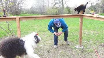 Building a Garden Fence Part 1
