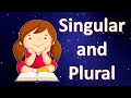 Understanding Singular and Plural Nouns