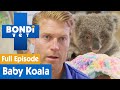 🐨 Baby Koala Needs To Eat Poop To Survive | FULL EPISODE | S08E06 | Bondi Vet