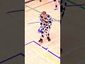 Have you ever seen a cow do this?!
