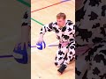 Have you ever seen a cow do this?!
