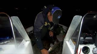 Рыбалка на спиннинг ночью. Неожиданный результат / AikoLand TV