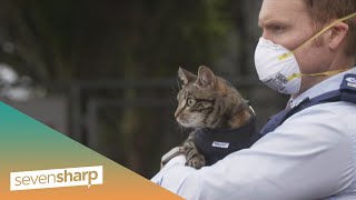 New Zealand Police unleash video of their furry new recruit