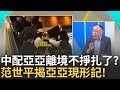 徐巧芯誤傷事件
