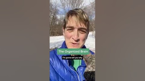 The Organized Brain - Why Some Brains Enjoy Organizing