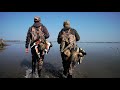Caccia agli acquatici in laguna Veneta | Duck hunting