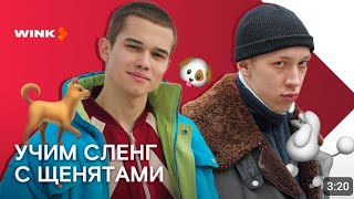 учим сленг с щенятами @winkRus