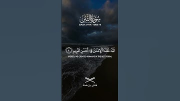 #التين #قرآن_كريم #تلاوة_خاشعة #ليلة_القدر #راحة_نفسية #ذكر_الله #تدبر_القرآن #خشوع #هدى_ورحمة
